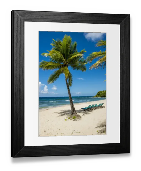 Framed Print : Carambola Beach Resort beach, St. Croix, US Virgin Islands Framed Print : Carambola Beach Resort beach, St. Croix, US Virgin Islands
