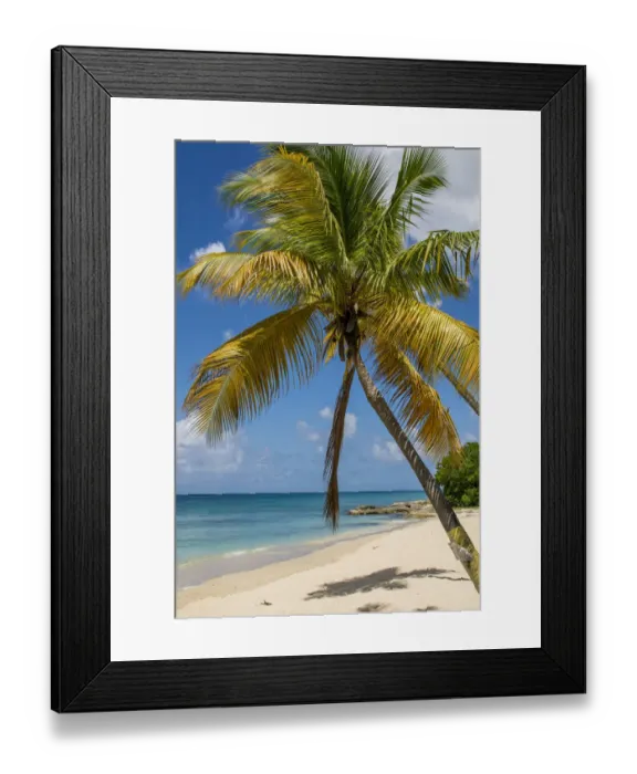 Framed Print : Sprat Hall Beach, St. Croix, US Virgin Islands Framed Print : Sprat Hall Beach, St. Croix, US Virgin Islands