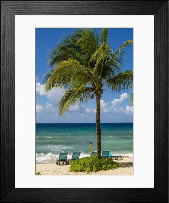 Framed Print : Carambola Beach Resort beach, St. Croix, US Virgin Islands Framed Print : Carambola Beach Resort beach, St. Croix, US Virgin Islands