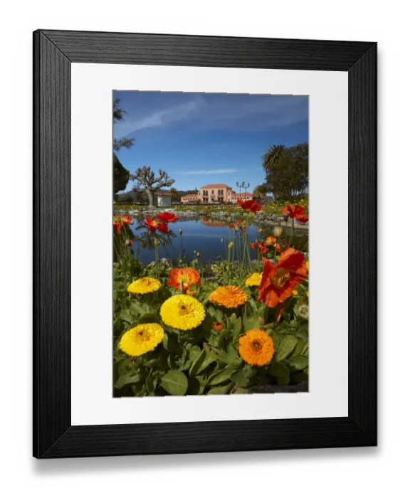 Framed Print : Flowers and Blue Baths, Government Gardens, Rotorua, North Island, New Zealand Framed Print : Flowers and Blue Baths, Government Gardens, Rotorua, North Island, New Zealand