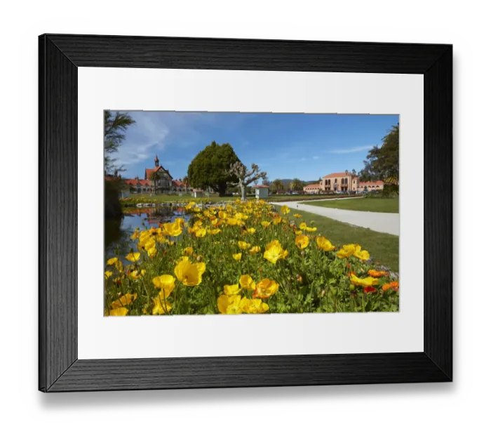 Framed Print : Flowers, Bath House (Rotorua Museum), and Blue Baths, Government Gardens, Rotorua