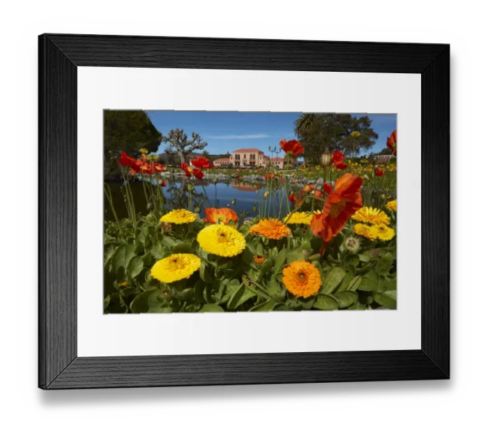 Framed Print : Flowers and Blue Baths, Government Gardens, Rotorua, North Island, New Zealand Framed Print : Flowers and Blue Baths, Government Gardens, Rotorua, North Island, New Zealand