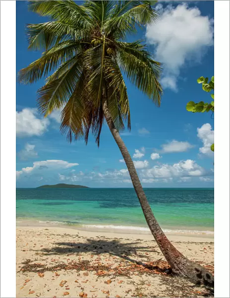 Cramer Park Beach, St. Croix, US Virgin Islands