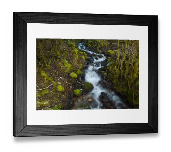 Framed Print : Stream in the rainforest near Alice Lake Provincial Park. Squamish, British Columbia, Canada Framed Print : Stream in the rainforest near Alice Lake Provincial Park. Squamish, British Columbia, Canada