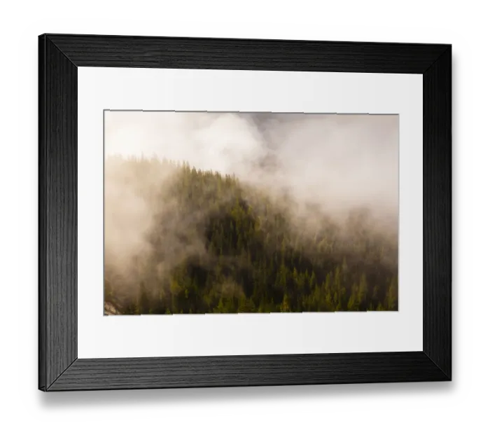 Framed Print : Mist over the trees in Squamish, British Columbia, Canada Framed Print : Mist over the trees in Squamish, British Columbia, Canada