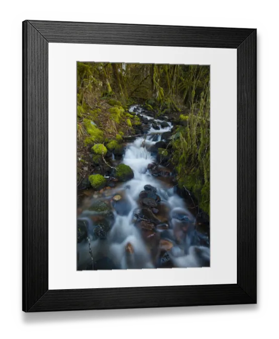 Framed Print : Stream in the rainforest near Alice Lake Provincial Park, Squamish, British Columbia