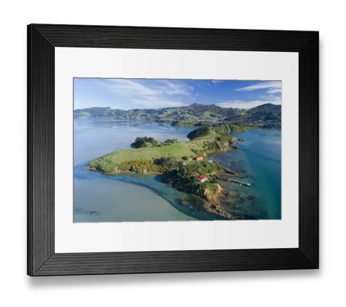 Framed Print : Quarantine Island and Otago Harbour, Dunedin, Otago, South Island, New Zealand Framed Print : Quarantine Island and Otago Harbour, Dunedin, Otago, South Island, New Zealand