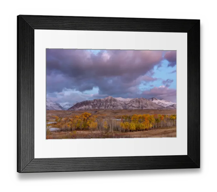 Framed Print : Morning light on autumn aspen groves along Maskinonge Lake in Waterton Lakes National Park Framed Print : Morning light on autumn aspen groves along Maskinonge Lake in Waterton Lakes National Park