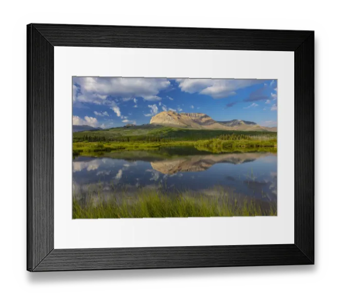 Framed Print : Sofa Mountain reflecting into beaver pond in Waterton Lakes National Park, Alberta