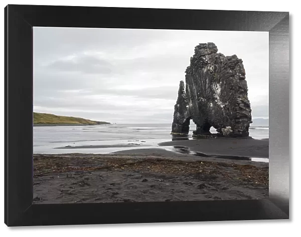 Iceland, Hvitserkur. This sea stack or monolith represents a legend that it was a