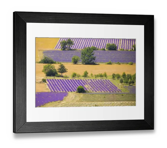 Framed Print : France, Provence, Sault Plateau. Overview of lavender crop patterns and wheat fields Framed Print : France, Provence, Sault Plateau. Overview of lavender crop patterns and wheat fields