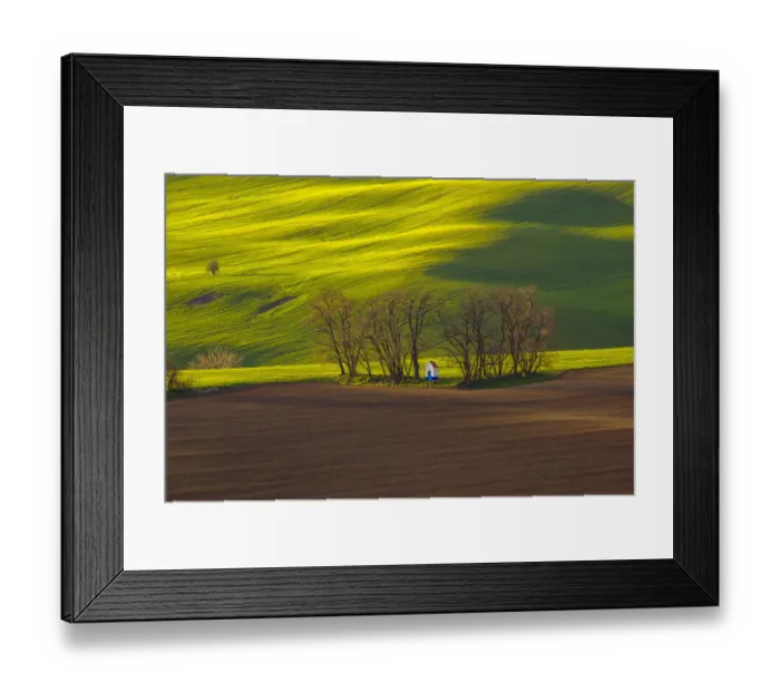 Framed Print : Czech Republic, Moravia. Small chapel in trees and field