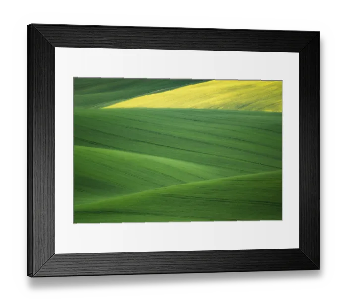 Framed Print : Europe, Czech Republic. Moravia wheat and canola fields Framed Print : Europe, Czech Republic. Moravia wheat and canola fields