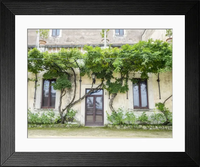 Framed Print : Italy, Lazio, Tivoli, Villa d Este. Trees growing along the palace walls