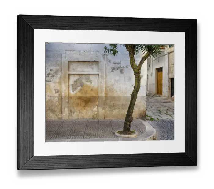 Framed Print : Italy, Puglia, Brindisi, Itria Valley, Ostuni. Tree growing on a sidewalk corner