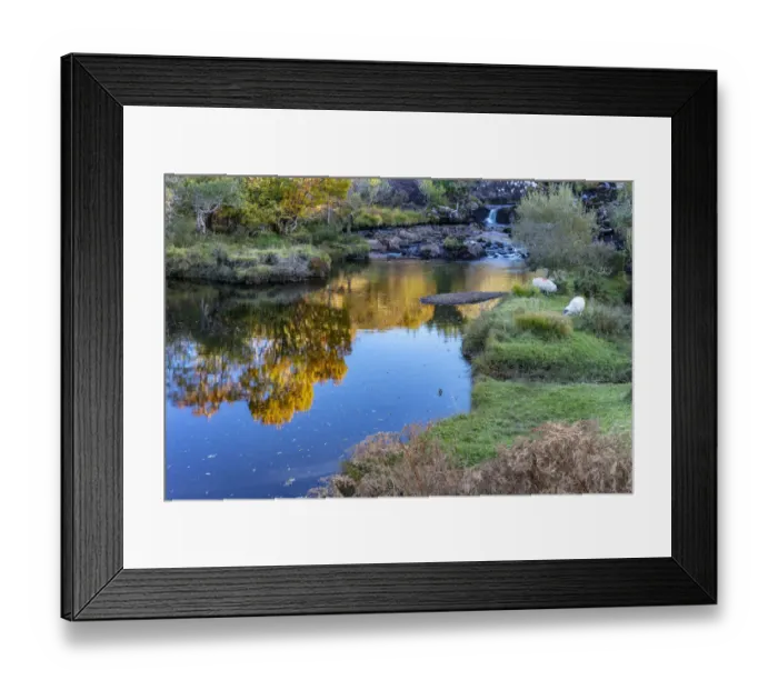 Framed Print : Sheep grazing near the River Gearhameen in the Black Valley near Killarney, Ireland Framed Print : Sheep grazing near the River Gearhameen in the Black Valley near Killarney, Ireland