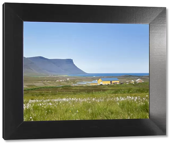 Landscape on the Thingeyri peninsula. The remote Westfjords (Vestfirdir) in northwest Iceland