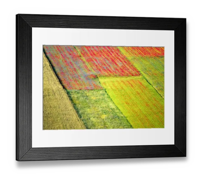Framed Print : Europe, Italy, Castellucio. Aerial of field with flower patterns Framed Print : Europe, Italy, Castellucio. Aerial of field with flower patterns
