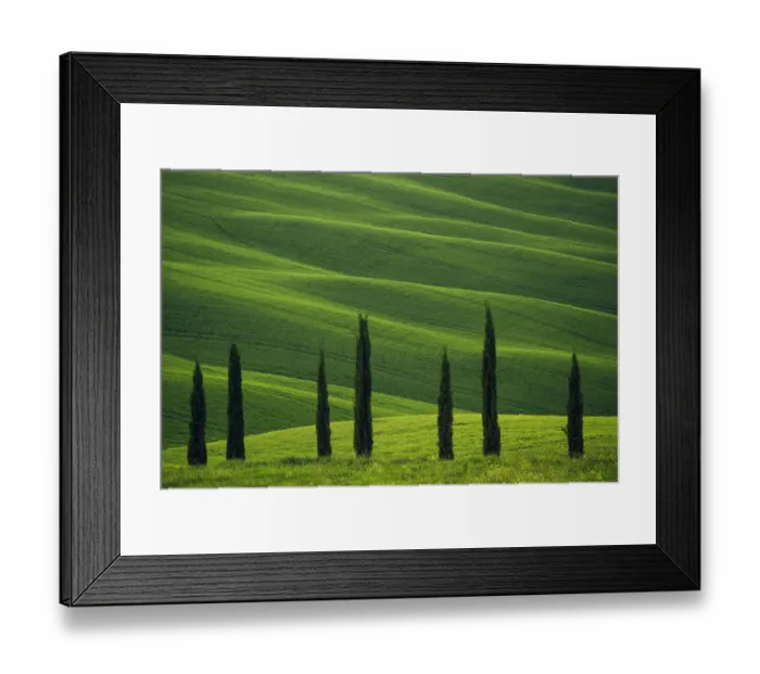 Framed Print : Europe, Italy, Tuscany, Val d Orcia. Cypress trees and wheat field. Credit as