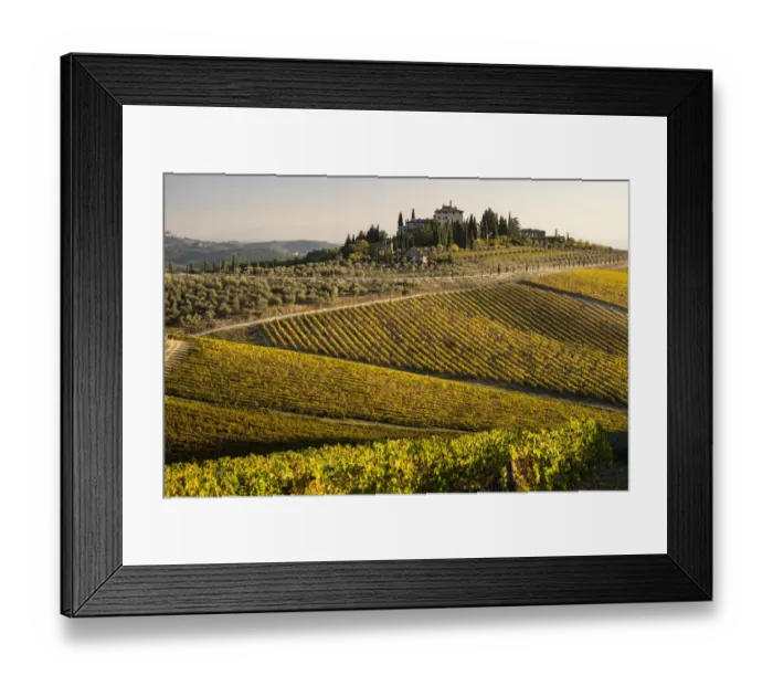 Framed Print : Italy, Tuscany. Vineyard in autumn