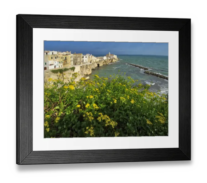 Framed Print : Old town of Vieste cityscape with medieval church at the tip of the peninsula of this Framed Print : Old town of Vieste cityscape with medieval church at the tip of the peninsula of this