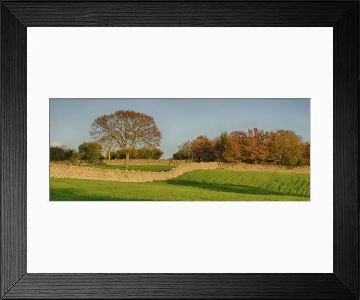 Framed Print : Italy, Alberobello. Typical farmland with stone walls