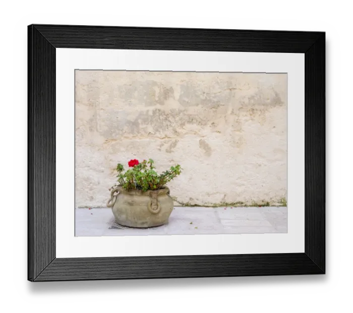 Framed Print : Italy, Basilicata, Matera. Potted plants outside the Sassi houses Framed Print : Italy, Basilicata, Matera. Potted plants outside the Sassi houses