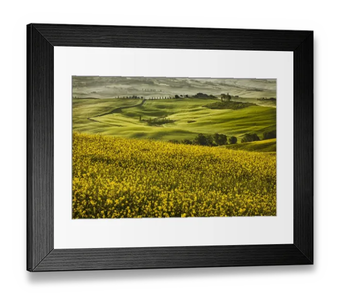 Framed Print : Europe, Italy, Tuscany, Val d Orcia