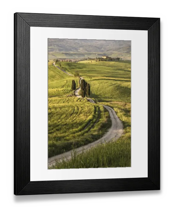 Framed Print : Europe, Italy, Tuscany, Val d Orcia Framed Print : Europe, Italy, Tuscany, Val d Orcia