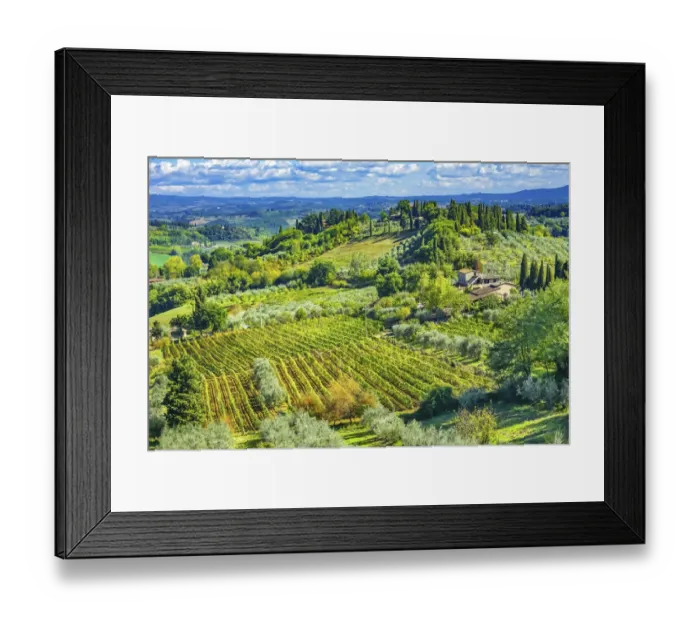 Framed Print : Tuscan vineyard, San Gimignano, Tuscany, Italy