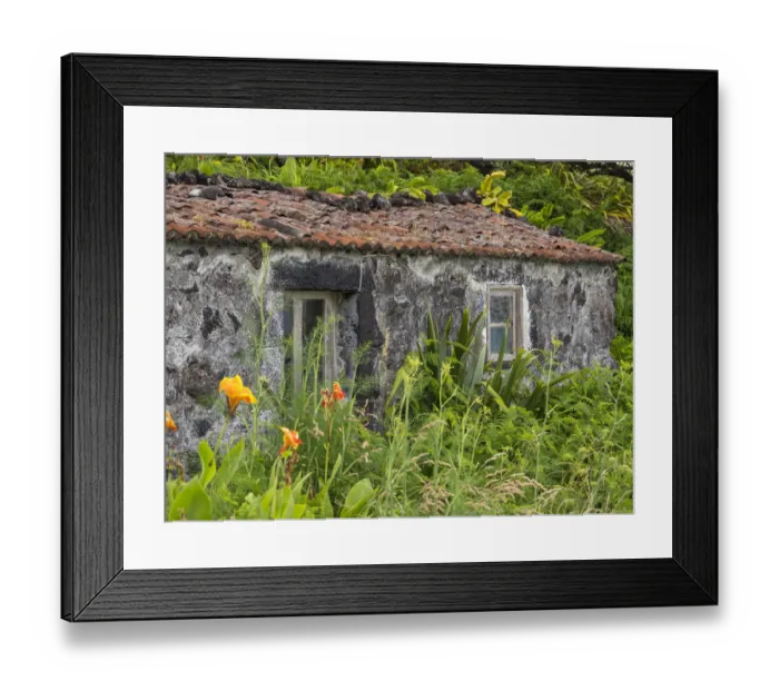 Framed Print : Faja do Ouvidor. Sao Jorge Island in the Azores, an autonomous region of Portugal