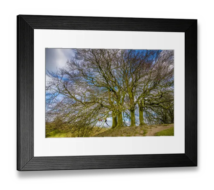 Framed Print : A grove of trees at Avebury, UK, a major Neolithic and medieval site Framed Print : A grove of trees at Avebury, UK, a major Neolithic and medieval site