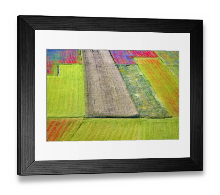Framed Print : Italy, Castelluccio. Aerial of field with flower patterns Framed Print : Italy, Castelluccio. Aerial of field with flower patterns