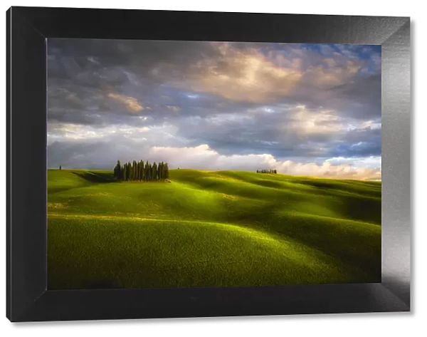 Italy, Tuscany, Val d Orcia. Cypress grove and clouds at sunset