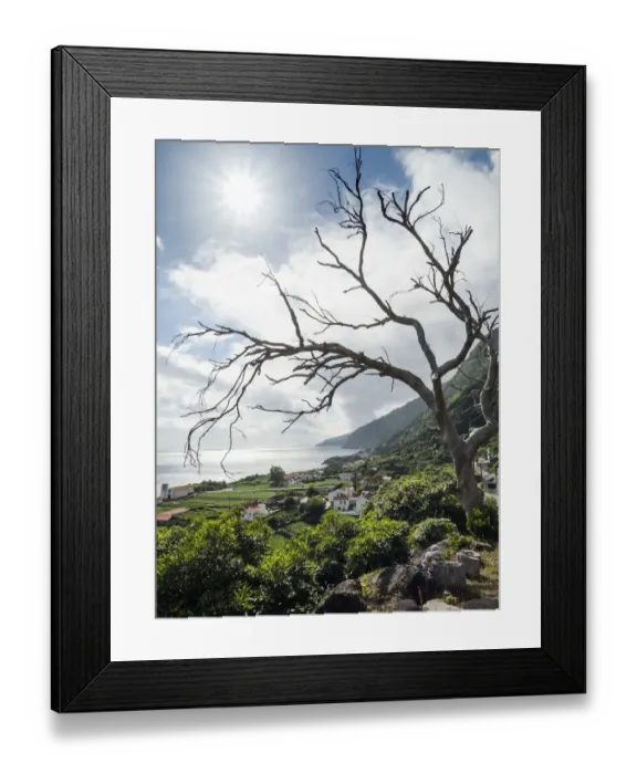 Framed Print : Faja dos Vimes. Sao Jorge Island, Azores, Portugal