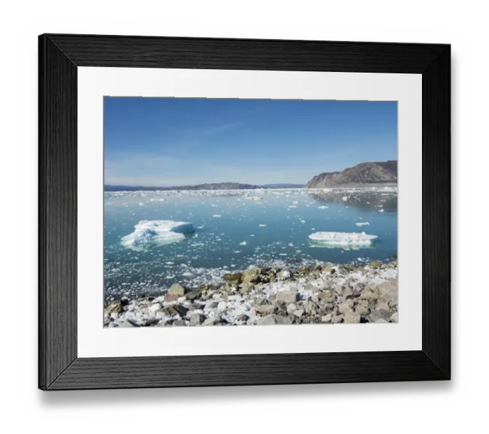 Framed Print : Shoreline littered with icebergs from Eqip Glacier in Greenland, Danish Territory