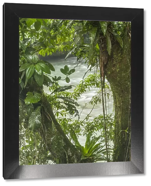 Costa Rica, Sarapiqui River Valley. Rio Puerto Viejo river in rainforest. Credit as