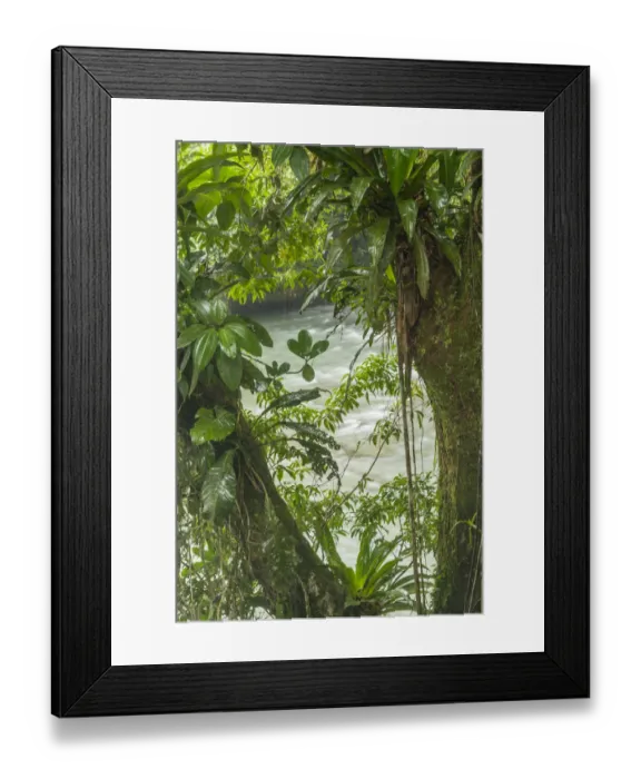 Framed Print : Costa Rica, Sarapiqui River Valley. Rio Puerto Viejo river in rainforest. Credit as Framed Print : Costa Rica, Sarapiqui River Valley. Rio Puerto Viejo river in rainforest. Credit as