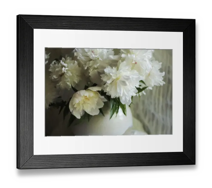 Framed Print : White peonies in cream pitcher Framed Print : White peonies in cream pitcher