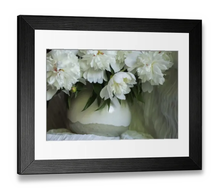 Framed Print : White peonies in cream pitcher Framed Print : White peonies in cream pitcher