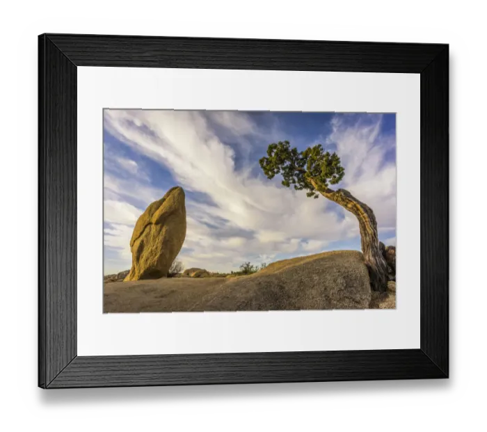 Framed Print : USA, California, Joshua Tree National Park Framed Print : USA, California, Joshua Tree National Park