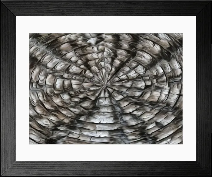 Framed Print : USA, Arizona, Chiricahua National Monument. Abstract photo of bark on an alligator juniper tree Framed Print : USA, Arizona, Chiricahua National Monument. Abstract photo of bark on an alligator juniper tree