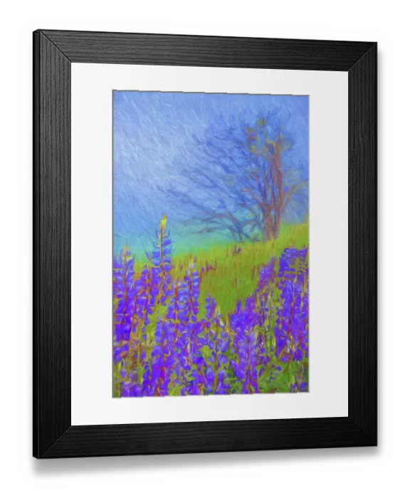 Framed Print : USA, Arizona. Aspen tree in winter. Credit as: Jean Carter  /  Jaynes Gallery  /  DanitaDelimont