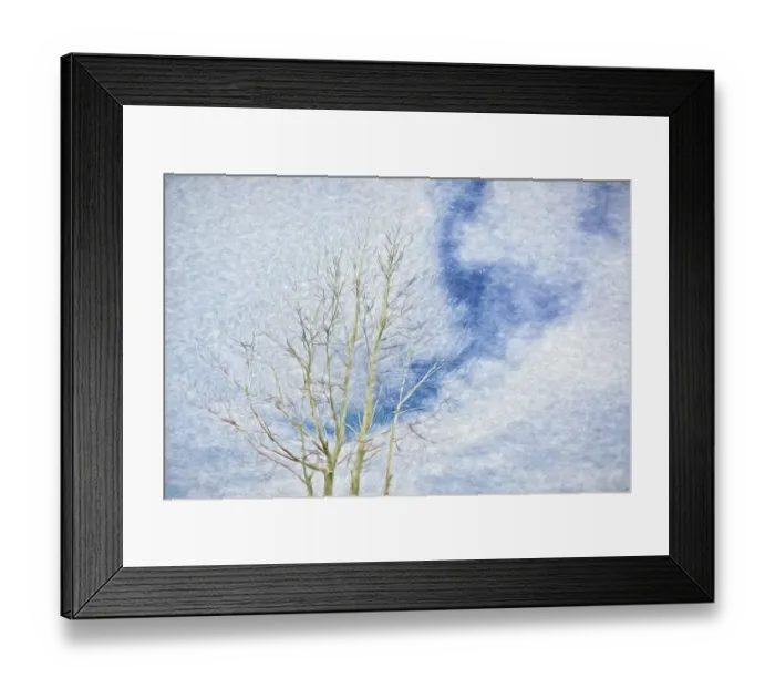 Framed Print : USA, Arizona. Aspen tree abstract in winter