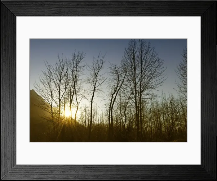 Framed Print : USA, Alaska, Knik River