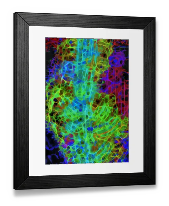 Framed Print : USA, California. Abstract of saguaro cactus