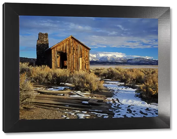 USA, California. Ruins of cowboys cabin in Adobe Valley