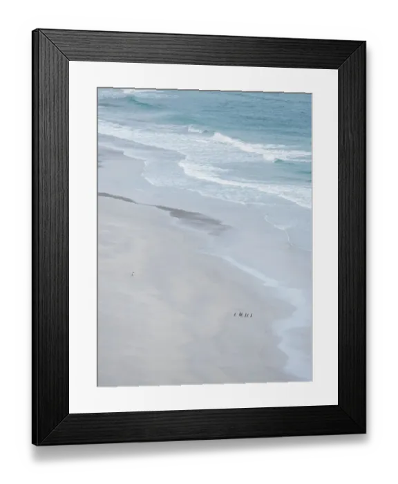 Framed Print : Magellanic penguin group on empty beach, Falkland Islands Framed Print : Magellanic penguin group on empty beach, Falkland Islands