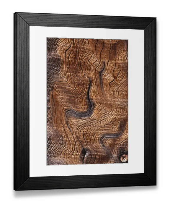 Framed Print : Old wood design, California Framed Print : Old wood design, California