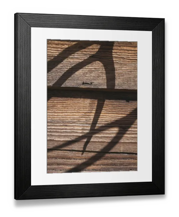 Framed Print : Antler shadows on wood, California Framed Print : Antler shadows on wood, California